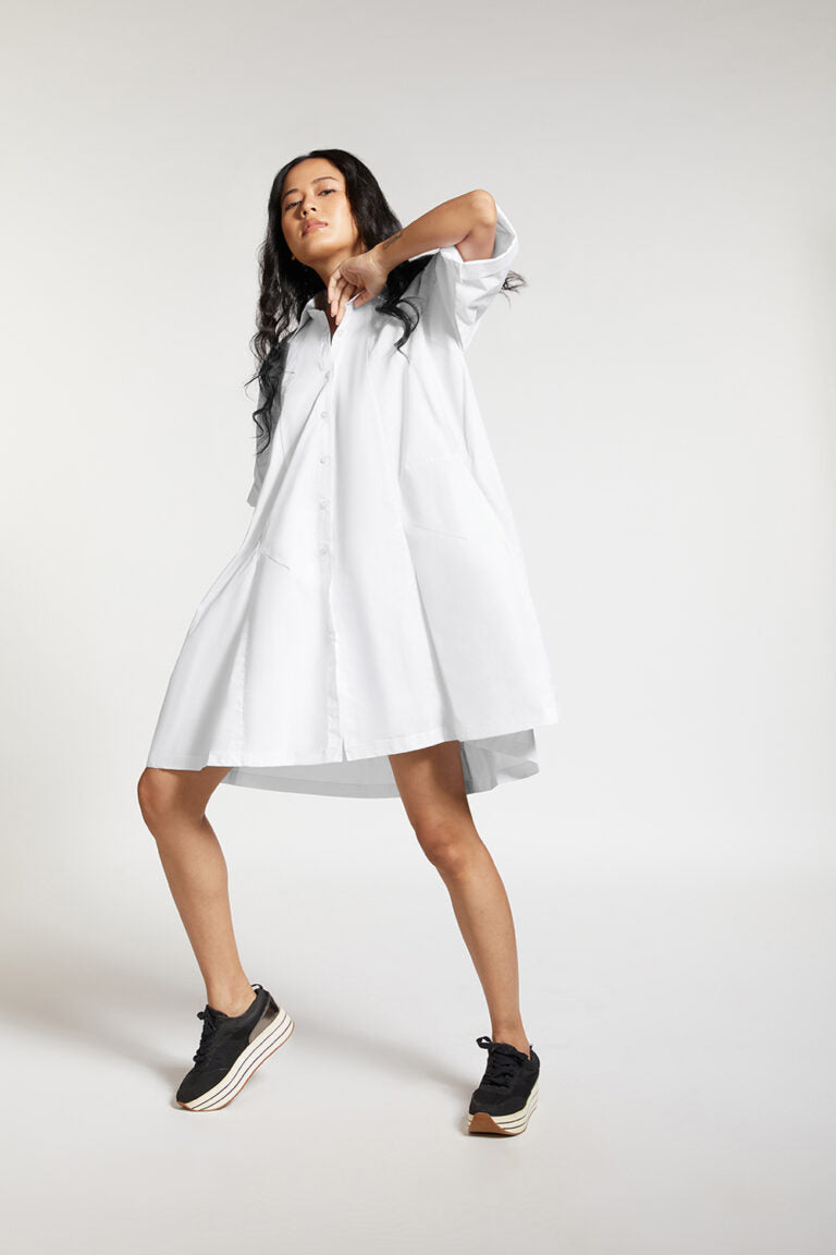 FLARE DRESS WITH BACK PLEAT DETAIL