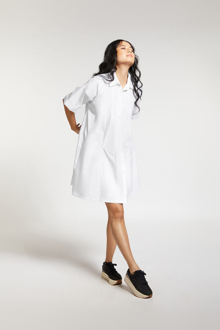 FLARE DRESS WITH BACK PLEAT DETAIL